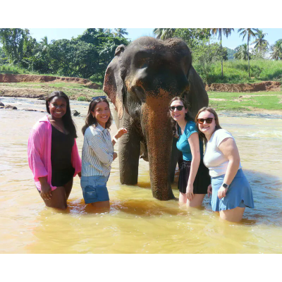 Student group with an elephant in the water