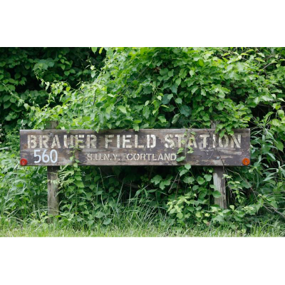 Welcome to Field Camp