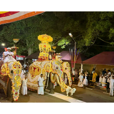 Kelaniya Perahara elephants at festivities