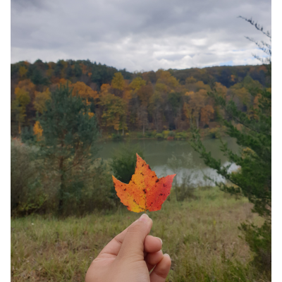 Shreya Dhital Fallen