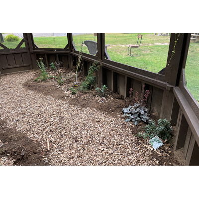 Plants are in place inside the Butterfly House
