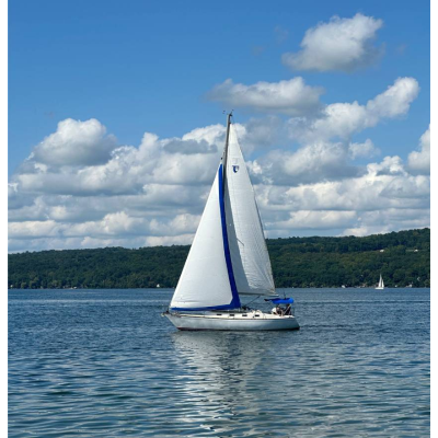 Hongyi Zhang Sailboat