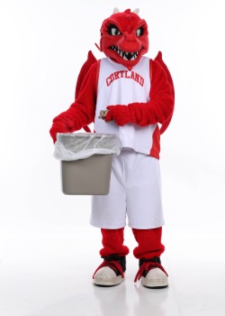 Single-use Plastics, what can be done?