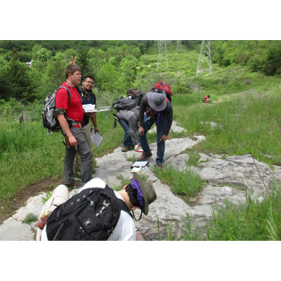 Under the Power Lines