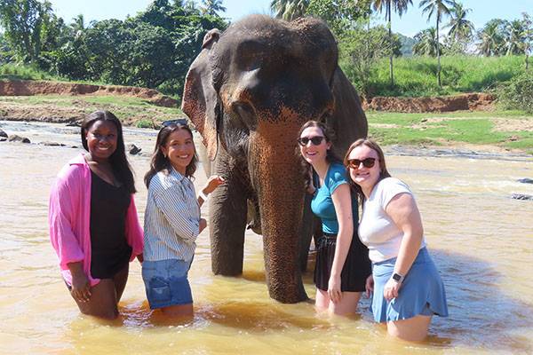 Winter trip to Sri Lanka a success