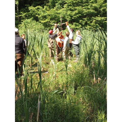 Students coring in wetlands