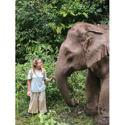 Elephant Trek — Thailand