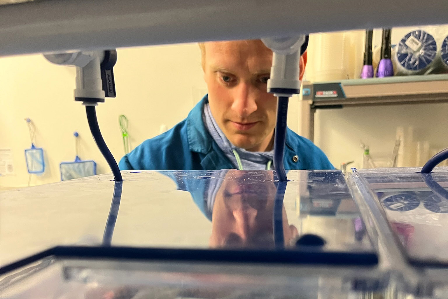 Biology alum leads groundbreaking research on limb regrowth