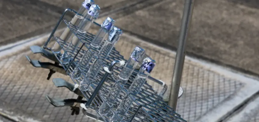 A rack of test tubes containing clear solutions, on the roof of Bowers Hall, pointed into sunlight.