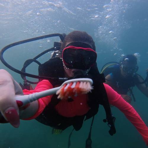 Voices for sustainability: Green Reps share their passions