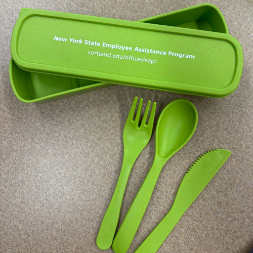 EAP reusable cutlery set - a green case with a fork, spoon and knife