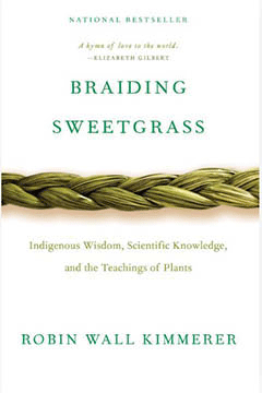 Braiding Sweetgrass book