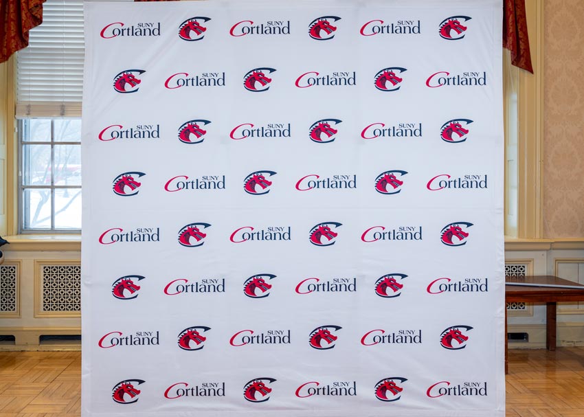 Primary Logo and Secondary Mark Backdrop