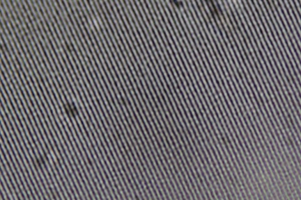 a diffraction grating observed under a microscope