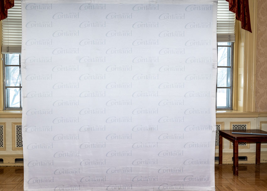 Primary Logo backdrop