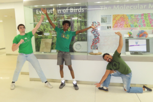 Two students and faculty member posing in front of DNA display case