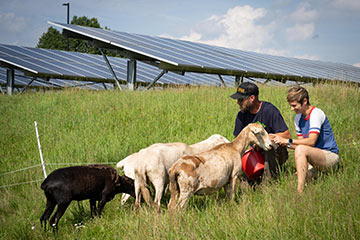 Mike and Emily with their sheep