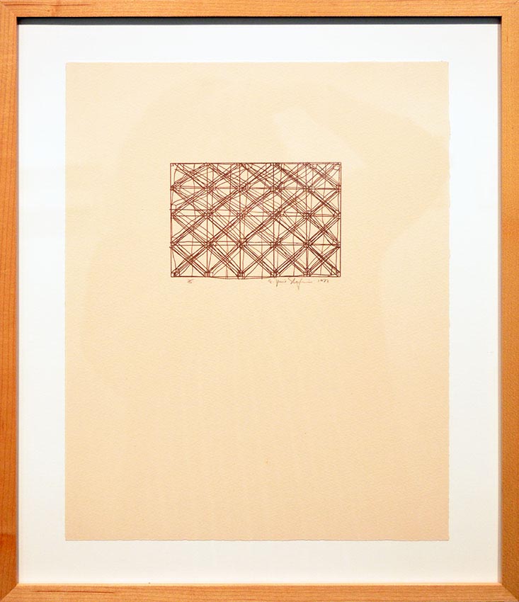 Work by Jesse Shefrin on display at the Dowd Gallery, SUNY Cortland, as part of the &ldquo;Artists as Collectors&rdquo; exhibition.