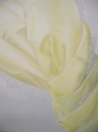 Cornell yellow painting