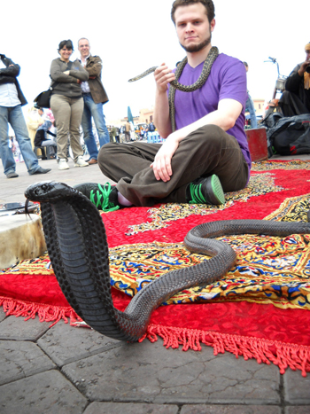 snake charmer