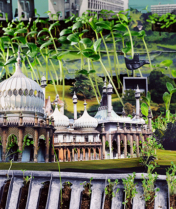 Rob Carter's digital print