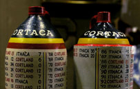 Gift Levels Cortaca Jug Image